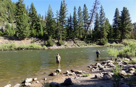 lake fish|Best Places To Fish In Ruidoso .